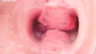 Pussy inside cam