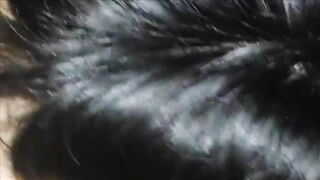Súc vật a họ, Nửa đêm Mò lồn rậm lông e họ qua chơi Bú Lồn quay video