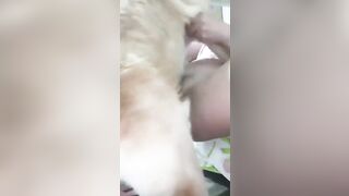 Cho chó xuất tinh trong mỗi ngày phần 11