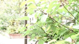 Jav SPRD-1499 Niimura Akari 2