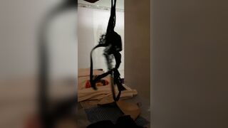 không bao nút cán bé sinh viên nhỏ nhắn lồn khít rịt