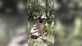 Đổi cảnh vào trong rừng public