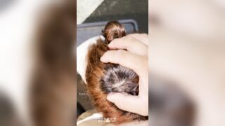 Đưa em ghệ hs dâm dáng nuột xinh dâm ra đường bú cu địt public trên xe lúc nữa đêm p2