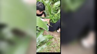 Lôi em vào bụi hiếp dâm