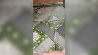 Lồn phải như thế này chứ