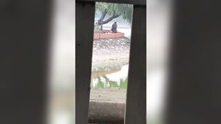 Sáng ra bờ hồ lén lút chịch nhau và bị quay lén =))