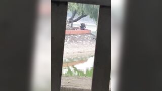 Sáng ra bờ hồ lén lút chịch nhau và bị quay lén =))