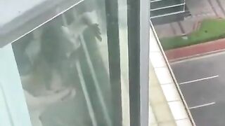 View làm ở công ty hôm nay lạ quá