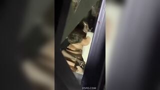 HS GIỜ BÁ ĐẠO NHỈ , NGANG NHIÊN ĐỊT NHAU, DƯỚI GẦM CẦU THANG , TRUNG CƯ