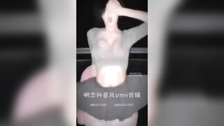 Pmv china 12