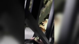 A RỂ ĐỊT NHAU VỚI E VỢ, Ở CẦU THANG , NÀO NGỜ BỊ HÀNG XÓM, PHÁT HIỆN
