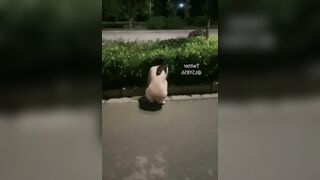 Nửa đêm, E gái xinh Loli mình dây Khoả thân, Khoe vú lồn đái bậy