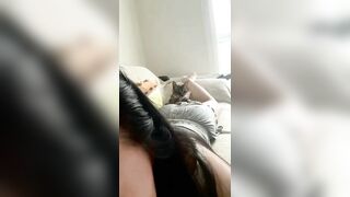 Mèo ơi là mèo