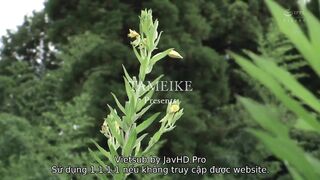 Xem phim Bác Hàng Xóm May Mắn