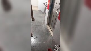 Cô vợ dâm đãng thích khoả thân và đeo máy rung ra khỏi nhà