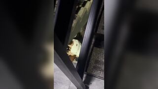 Vẫn phải là quán bar, Phúc Châu BGM cầu thang chiến thần, tôi cũng muốn thử xem 😂