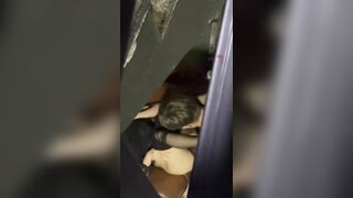 Quay lén anh trai địt nhau với bạn ở phòng khách vú to lồn ngon