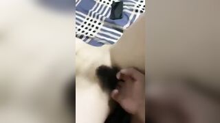Vào nhà nghỉ móc lồn cho e người yêu lên đỉnh