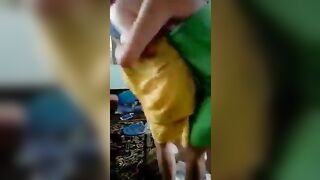 Ở đâu mà trông vui vậy nhỉ