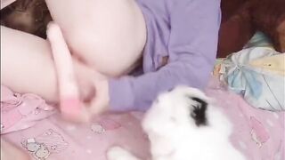 Chất con chó bú lồn nhiều lần rồi mới nhàu vô liên tục