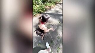 Sự tương phản cực độ_ Chó cái bị phơi bày trong công viên, tạo dáng với tất đen và nú