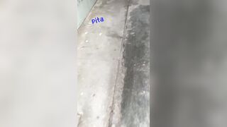 Nghe Nói Em Thích Trà Sữa , 1 Ly Trà Sữa Sẽ được địt 1 Cái