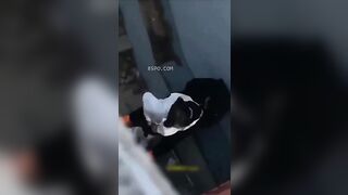 thầy giáo cưỡng dâm bé hs trong trường