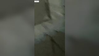 Clip Sex Chơi doggy nát bím em si líp đỏ cực dâm