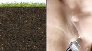 Live tiktok móc nhiệt tình nghe nhóp nhép