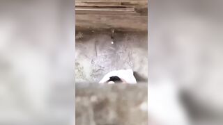 Trèo tường quay lén đôi bạn trẻ dâm đãng đg đi ngoài đường mà nứng lén lút làm tình