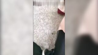 Nhỏ cháu gái mới đi học về ở nhà 1 mình bị ông cậu họ bắt bú cặc đụ ko bao mới chất.