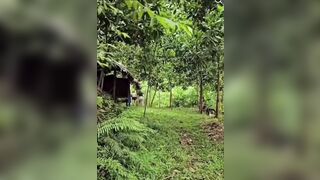 Cặp đôi đang mượn tròi đụ bị ông chủ phát hiện la lên họ chạy tán loạn.