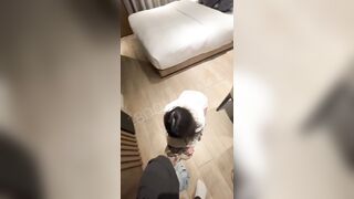 Em gái việt mới 18 tuổi bị lừa bán vào khu tự trị cam.