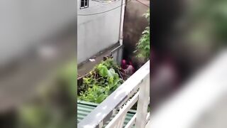 Quay trộm được thằng C đè má nó ra đụ ngay ngoài cổng