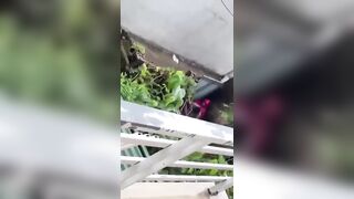 Quay trộm được thằng C đè má nó ra đụ ngay ngoài cổng