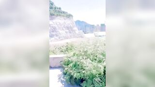 Mang em yêu đi chịch public, vừa địt vừa ngắm cảnh
