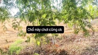 Hôm nay Ba ck Loan chở Loan đi Public, Loan chị Ba với bạn của ô ấy đụ ngay ngoài đg