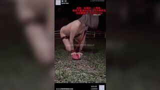 Lâu lâu dắt chó cái ra vườn chơi tiện thể cho mấy thằng bạn xài ké nó 1 đêm