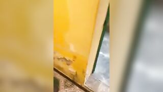 Nứng ở quán cà phê,thủ dâm bóp vú xin anh chủ quán chịch cho bớt nứng p1