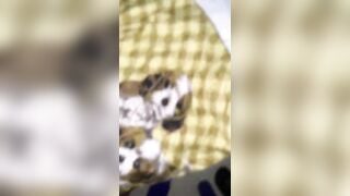 CK K DẬP MẠNH LÀ VỢ CHO THẰNG HÀNG XÓM DẬP ĐÓ