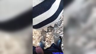 Sex viet