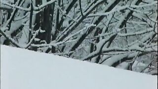 TRA TẤN GÁI NHẬT CLASSIC 26