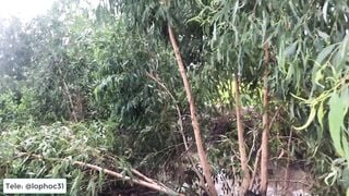 Em hoj nông thôn thích dây lọt khe