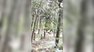 Em teen Việt MỹHạnh2000 mông to tròn thích chổng mông show lồn múp giữa đường