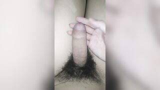 Cu dễ thương 6