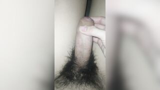 Cu dễ thương 6
