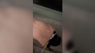 Xích cổ dắt con đĩ slave dâm đãng mặc đồ lót ren lọt khe cực đĩ thỏa đi dạo