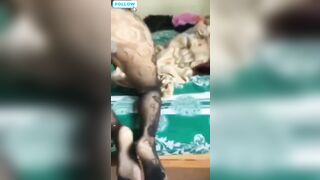 Bà xã tất lưới cưỡi ngựa dâm dục quá chảy dầy nước trắng ra nệm
