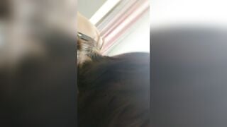 chơi trò bạo dâm với bé sinh viên năm nhất chịu chơi - phần 3
