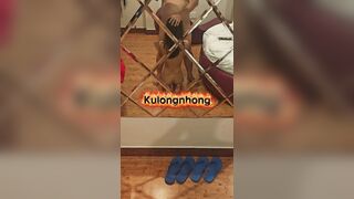 bé ghệ dâm em rên to quá khiến phòng bên ghõ cửa phản ánh - phần 1